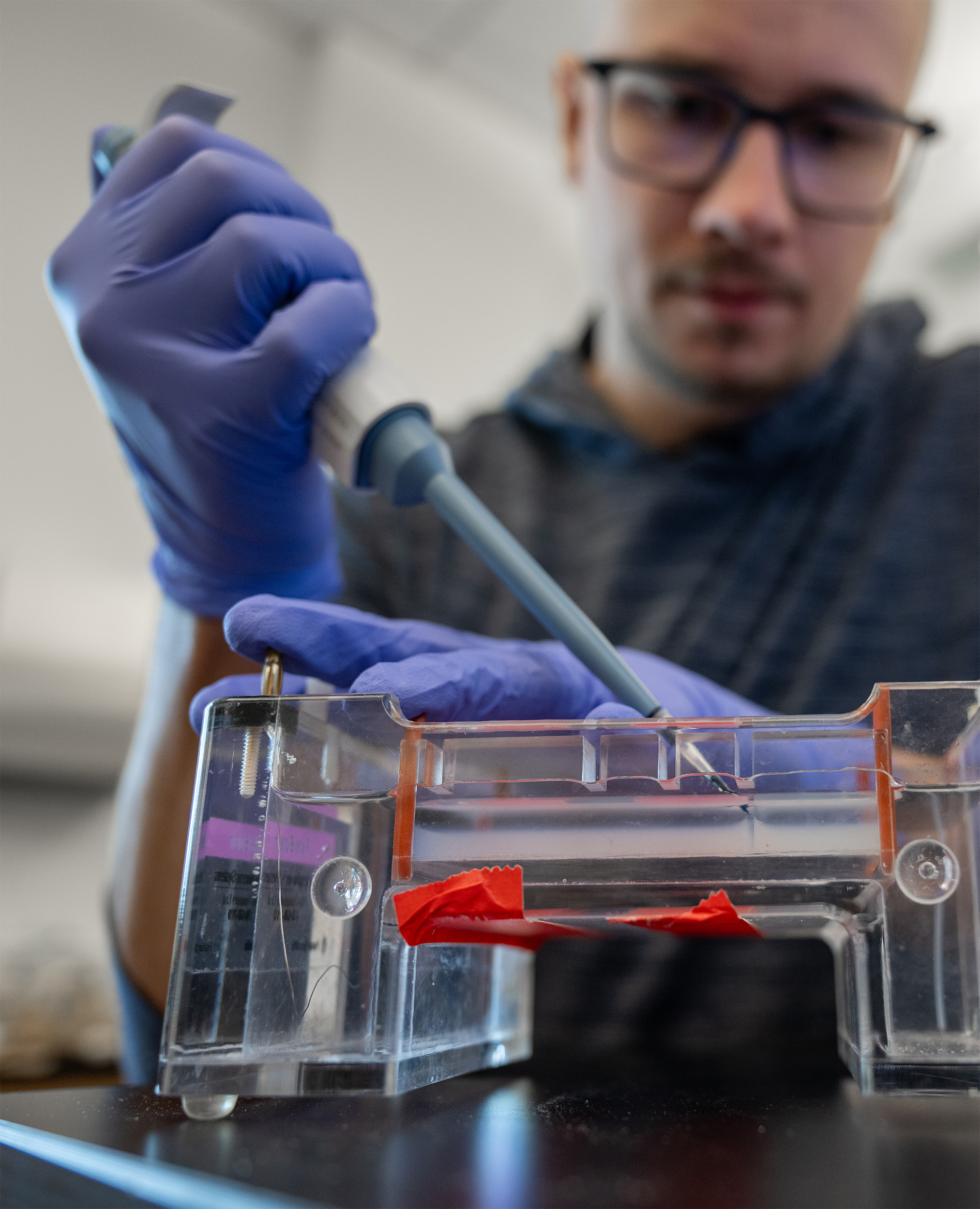 student conducts biology experiment