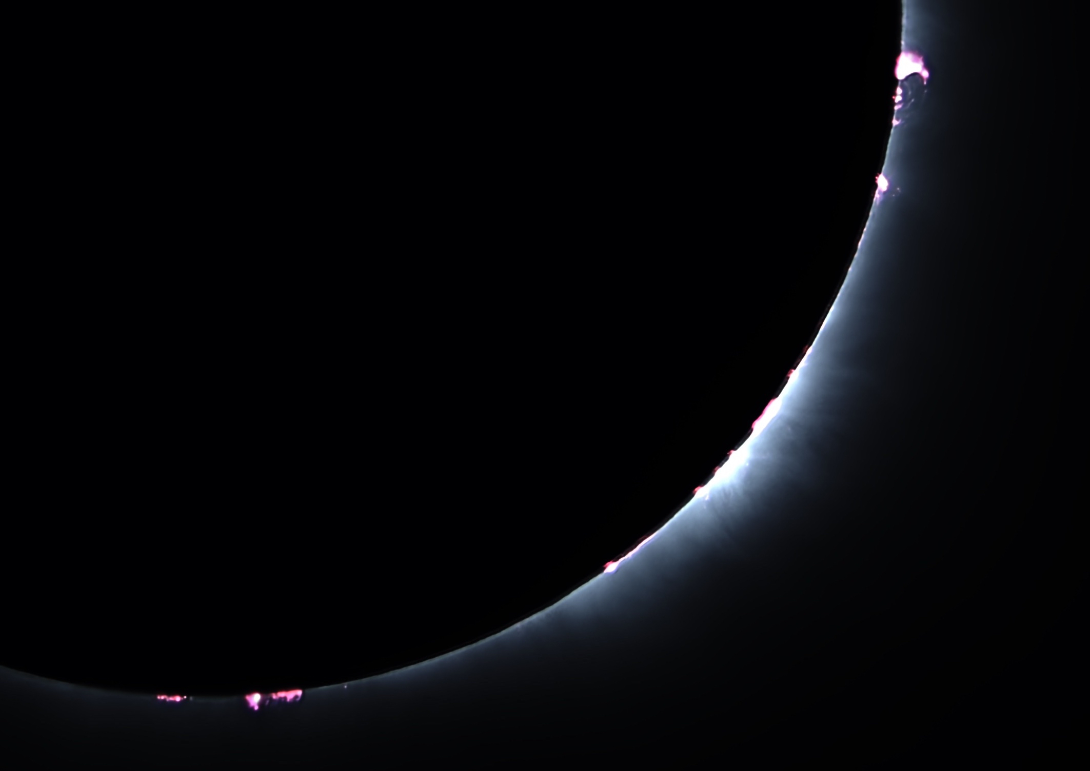 This is one of the photos the students took during the recent eclipse, which displays two phenomena they had researched before the event: Prominences and Baily’s Beads.